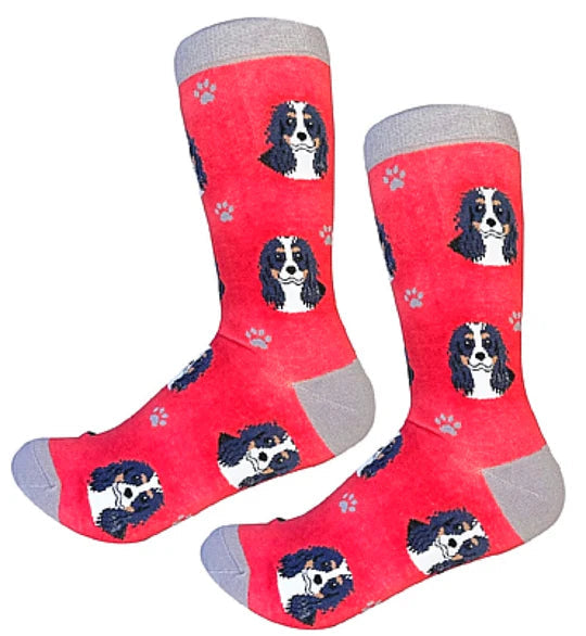 King Charles Cavelier Tri-Colored Crew Socks | Unisex - Knock Your Socks Off