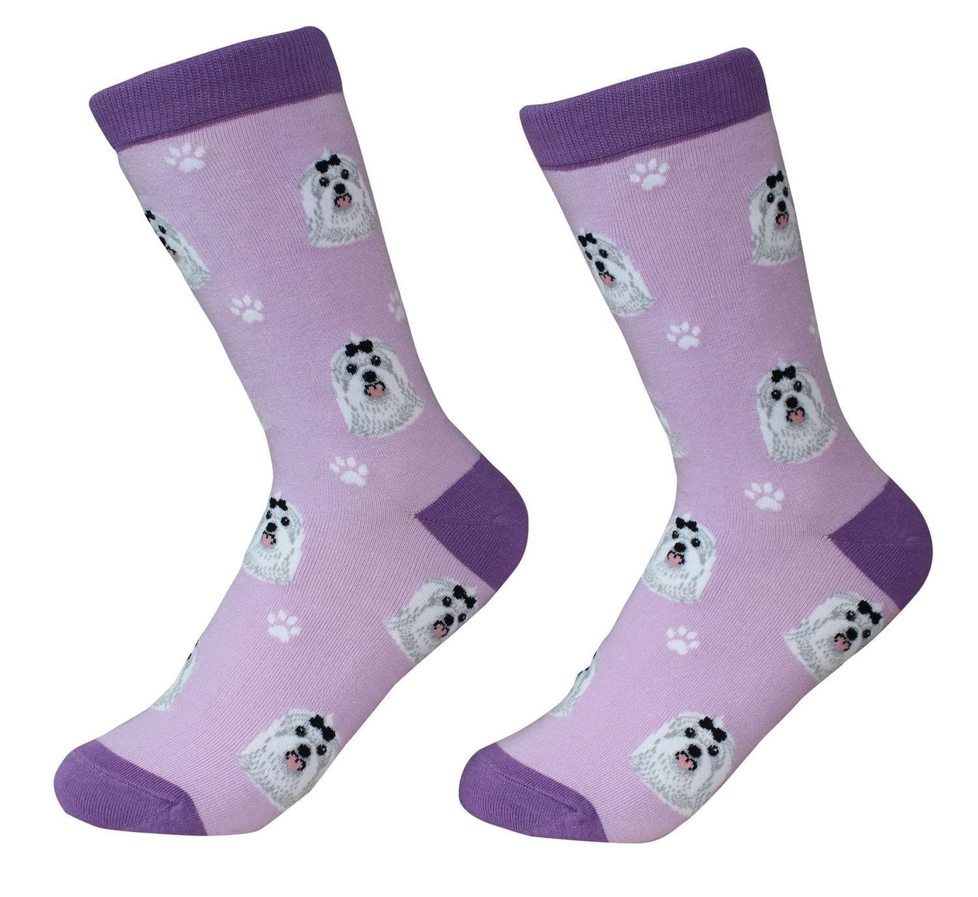 Maltese Crew Socks | Unisex - Knock Your Socks Off